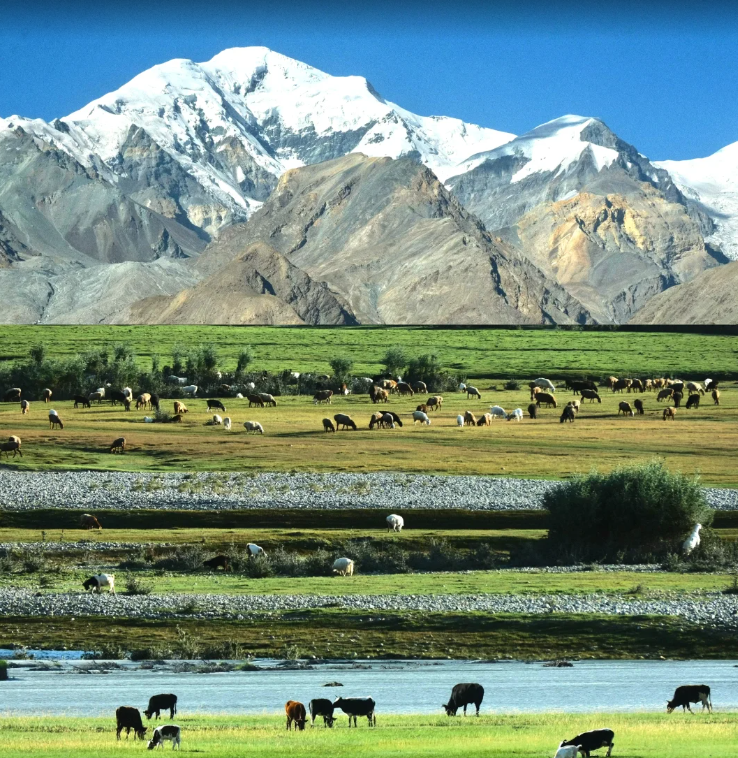 [Xiaoxiang] 18-Day Special Train Tour from Xinjiang to Guangzhou and Changsha